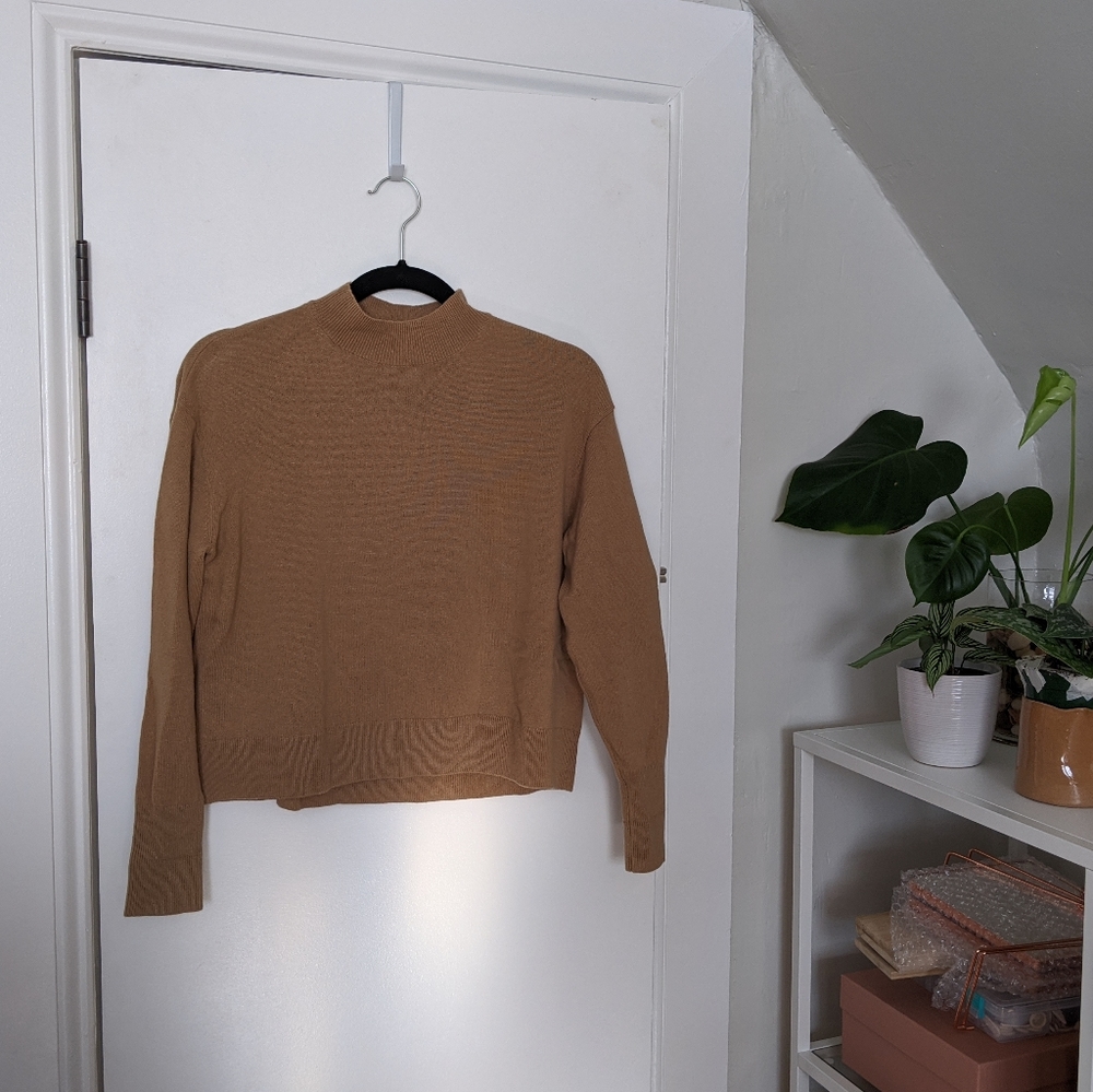 Everlane Cashmere Crop Mockneck in Camel